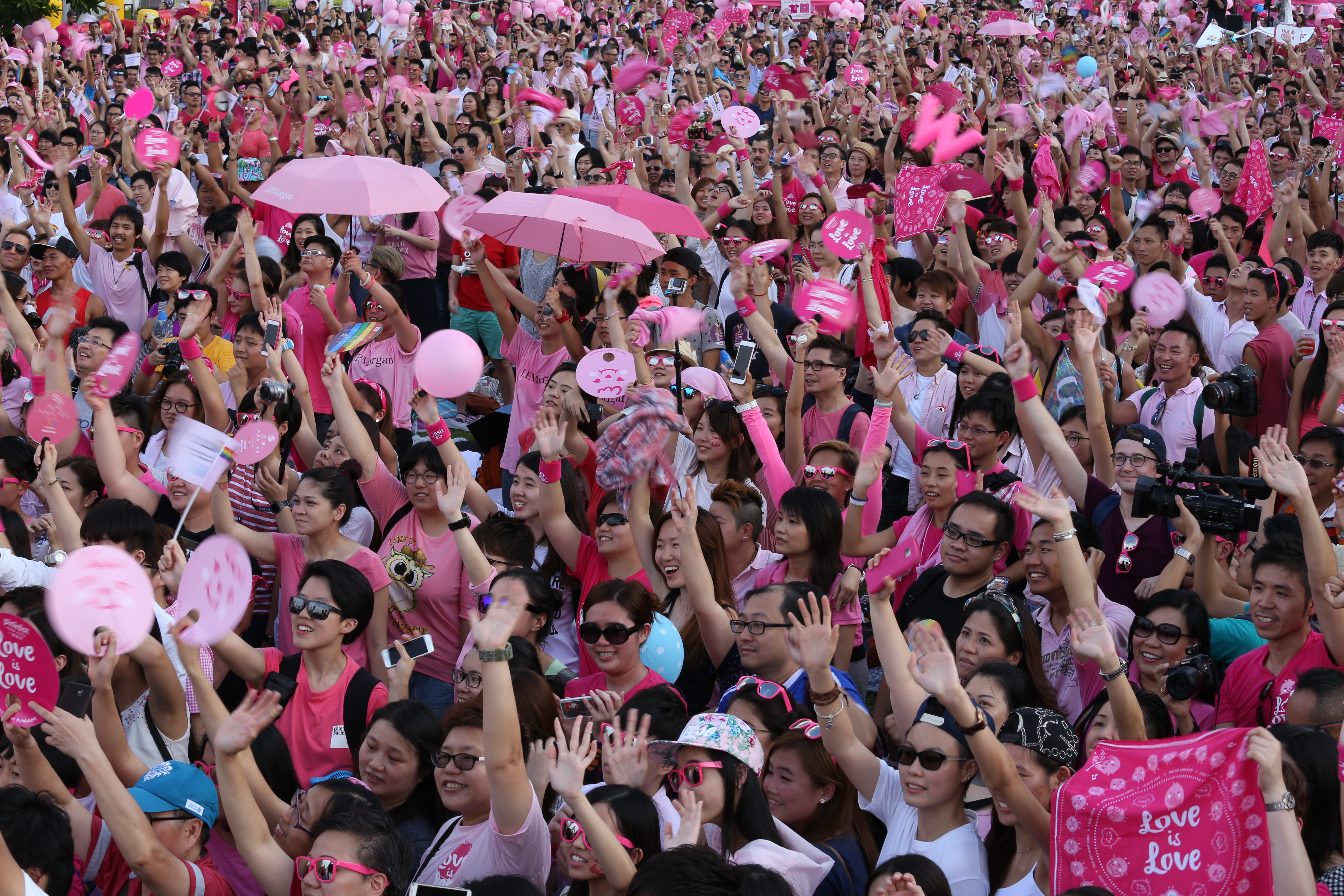 Pink Dot Hong Kong Branding and Mascot Design Cranes Media Graphic