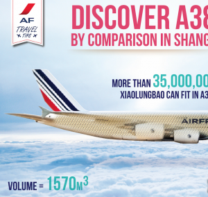 AirFrance infographic design