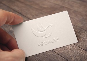 Aquales Logo Design